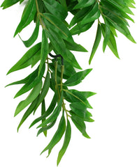 Multi Pet 48593304: Komodo Bamboo Hanging Plant, Lg 26In