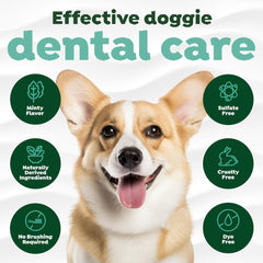 TropiClean Fresh Breath No Brush Total Care Kit | Dog Dental Hygiene|
