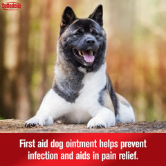 Dog Wound Care 3-Way Ointment, Relieves Pain & Prevents Infection For Dog Cuts, Scrapes, Bites and Injuries, 2 Ounce)