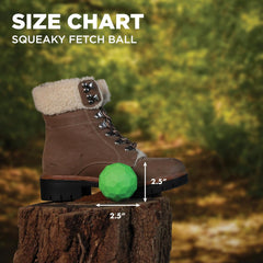 Playology Hound2O Outdoor Dog Toys | Squeaky Fetch Ball Dog Toy, Bright Green Color | Durable Floating Water-Resistent Toy | Made from Non-Toxic Materials