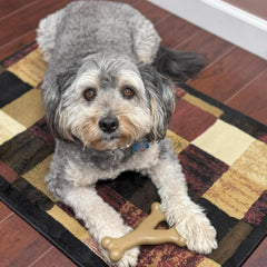 SPOT Bam-Bones Wishbone - Made with Strong Bamboo Fiber, Durable Long Lasting Dog Chew for Light to Moderate Chewers, Great Toy for Adult Dogs & Teething Puppies Under 50lbs, Chicken Flavor