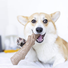 Petstages Dogwood Durable Dog Chew Toy, - Long Lasting Chew Stick Made with Real Wood - USA Made