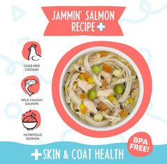 Weruva Meals 'n More Natural Wet Dog Food, Jammin' Salmon Plus Skin & Coat Health (Pack of 12)