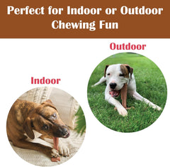 SPOT Bam-Bones Plus T Bone - Bamboo Fiber & Nylon, Durable Long Lasting Dog Chew for Aggressive Chewers – Great Toy for Adult Dogs & Teething Puppies Under 30lbs, Non-Splintering, Beef Flavor