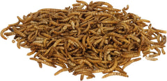 Zilla Reptile Munchies Mealworm .5 Ounces