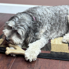 SPOT Bam-Bones Wishbone - Made with Strong Bamboo Fiber, Durable Long Lasting Dog Chew for Light to Moderate Chewers, Great Toy for Adult Dogs & Teething Puppies Under 50lbs, Chicken Flavor