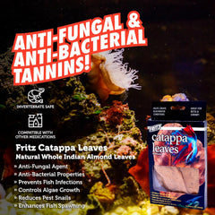 Fritz Catappa Leaves