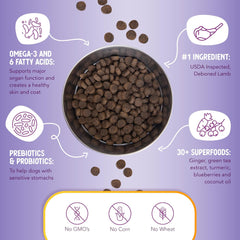 Health Extension Lamb & Brown Rice Dry Dog Food - Nutritious Free-Range Lamb Formula with Probiotics, Antioxidants & Omega 3 for Dogs with Sensitive Digestion