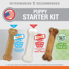 Nylabone New Puppy Starter Kit, 2 Chew Toys and 1 Natural Treat for Puppies, Bacon & Chicken Flavor