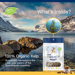 NaturVatProDen PlaqueOff Scoopables - Hickory Smoked Bacon Flavor Dental Bites for Large Dogs, Natural Kelp for Plaque & Tartar Control, Freshens Breath -Large & Giant Breed Dental Care