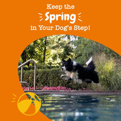 Mobility Bites for Dogs, Hip and Joint, All Ages, Duck, 90 Soft Chews, 12.7 oz (360 g)