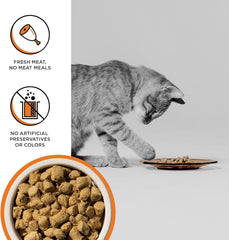 BIXBI Rawbble Freeze Dried Cat Food, Chicken Recipe, 3.5 oz - 95% Organs and Bone Raw Cat Food - USA Made