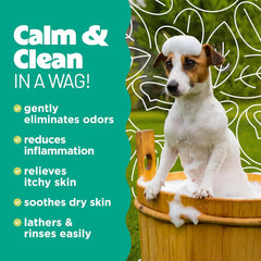 TropiClean Oatmeal Dog Shampoo for Itchy Skin Relief, Professional Dog Shampoo, Soothing Medicated Itch Relief, Puppy Safe 1 gal
