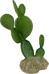 Multi Pet 48593322: Komodo Cactus Plant Prickly Pear, 6.3In