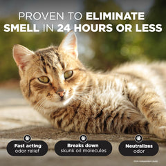 TropiClean Deodorizing Skunk Shampoo for Dogs - Extra Strength Skunk Odor Remover - 24 Hour Fast Relief 1 gal