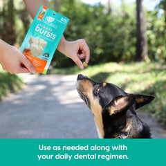 ARK NATURALS Breath Bursts Brushless Toothpaste Dog Treats, Dog Dental Bits for Small Breeds, Unique Texture Helps Clean Teeth & Freshen Breath, Cinnamon