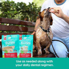 ARK NATURALS Breath Bursts Brushless Toothpaste Dog Treats, Dog Dental Bits for Small Breeds, Unique Texture Helps Clean Teeth & Freshen Breath, Peppermint
