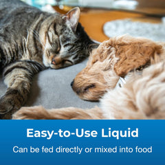 PetAg Pet Pectillin Anti-Diarrheal - 4 oz - Helps Relieve Diarrhea or Loose Stool in Dogs and Cats - Replaces Lost Electrolytes - Easy to Administer