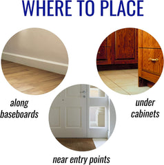 Terro T100-12 Liquid Ant Killer II, 1 oz, Pack of 1