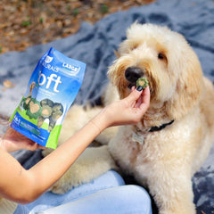 Ark Naturals Soft Brushless Toothpaste, Soft-Baked Dog Dental Chew with Toothpaste Center, Freshen Breath, Reduce Plaque & Tartar