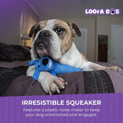 Multipet International Original Loofa Dog Mini Dog Toy (Assorted colors)