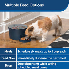 PetSafe 6 Meal Automatic Cat Feeder - Programmable Pet Food Dispenser for Cats and Small Dogs - Dry Kibble or Semi-Moist Pet Food, Slow Feed Portion Control, Tamper-Resistant