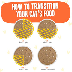 Weruva B.F.F. OMG - Best Feline Friend Oh My Gravy!, Chicken & Salmon Shine Bright with Chicken & Salmon in Gravy