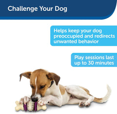 PetSafe Busy Buddy Bristle Bone Dog Toy - Treat-Holding Toy for Dogs - Treat Rings Included - Rigorously Tested Ingredients - Purple