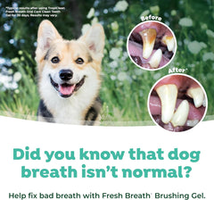 TropiClean Fresh Breath Toothbrush and Toothpaste Kit for Dogs, Teeth Cleaning Kit for Plaque & Tartar Removal, Breath Freshener, Dog Dental Care