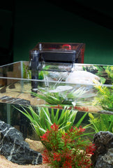 Fluval Power Filter, Fish Tank Filter for Aquariums