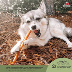 Redbarn Beef Collagen Sticks for Dogs, Long Lasting Collagen Chews for Dogs. Bully Sticks Alternative High Protein Dental Treats w/ Natural Collagen for Dogs Supports Joint, Skin & Coat Health