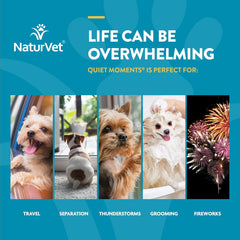 NaturVet Quiet Moments Calming Aid Dog Supplement, Helps Promote Relaxation, Reduce Stress, Storm Anxiety, Motion Sickness for Dogs (Quiet Moments, 180 Soft Chews)