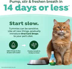 TropiClean Fresh Breath Drops for Cats Travel Size | Cat Mouthwash | Water Additive For Cats | Kitten Bad Breath Water Additive | Made in the USA |