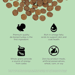 Go! Solutions Skin + Coat Care, Dry Dog Food, Turkey Recipe with Grains, 22 lb Bag