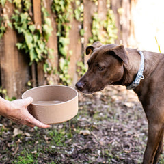 Loving Pets - Dolce Bamboo - Eco-Friendly Pet Bowls & Dishes for Dog, Cats, Puppy Food and Water Dish -Sustainable and Dishwasher Safe, Made with Real Bamboo