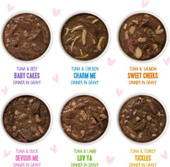 Weruva B.F.F. OMG - Best Feline Friend Oh My Gravy!, Rainbow A Gogo Variety Pack! Cat Food