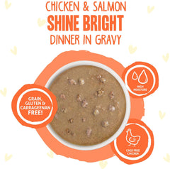 Weruva B.F.F. OMG - Best Feline Friend Oh My Gravy!, Chicken & Salmon Shine Bright with Chicken & Salmon in Gravy