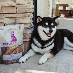 Loving Pets Natural Value All Natural Soft Chew Duck Sticks For Dogs