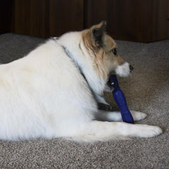 SPOT Barrett Tough Retriever Stick for Medium & Large Dogs - Virtually Indestructible Solid Rubber Dog Toy for Aggressive Chewers, Textured for Dental Health, Engaging Fetch Stick, 9.5 inch