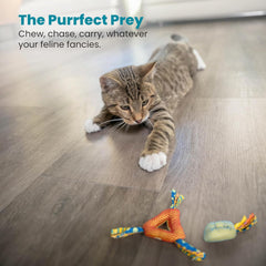 Petstages Dental Health Chews Pair