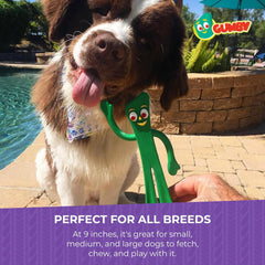 Multipet Gumby Latex Dog Toy - Squeaky Toy for All Dogs - Easy-to-Clean Dog Squeaky Toys - for Cuddling, Chewing & Playing - Cute Pet Toy (9", Green)