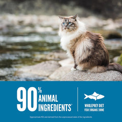 ORIJEN Six Fish Dry Cat Food, Grain Free Cat Food for All Life Stages, with WholePrey Ingredients