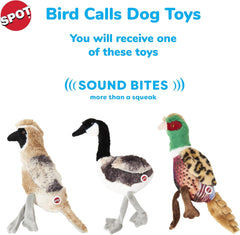 SPOT Bird Calls Plush Dog Toy with Realistic Bird Sound – 12" Sound Chip Toy for Dogs, One of Three Assorted Styles, Engaging Indoor Play for All Breeds