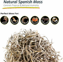 Galápagos Spanish Moss, Mini Bag