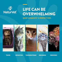 NaturVet Scoopables Quiet Moments Cat Calming Aid - Promotes Calm with Stressful Events Storms, Fireworks, Travel, Separation Anxiety - Cat Health Supplement w/Melatonin - Salmon Flavored