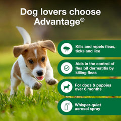 Advantage Dog Flea Treatment Spray | Kills Fleas & Ticks | Dog Flea Spray