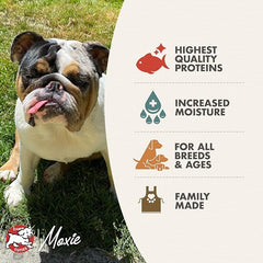 Fromm Seafood Medley Pate Dog Food - Premium Wet Dog Food - Salmon Recipe - Case of 12 Cans