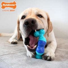 Nylabone Twist 'N Chew Dog Toy, Enrichment Puzzle Toys for Dogs, Perfect for Aggressive Chewers, Bacon & Beef Jerky Flavor, Large - Up to 50 lbs, 1 Count