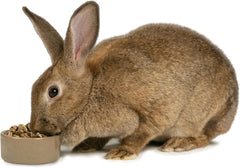 Kaytee Field+Forest Rabbit Food 4 Pounds