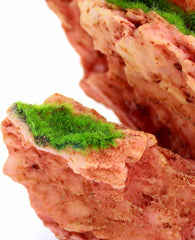 Penn-Plax Aqua-Flora Aquarium Living Resin Decoration with Embedded Glosso Plant Seeds – Red Rock – Safe and Healthy for Freshwater Fish